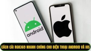Cách cài RG8369