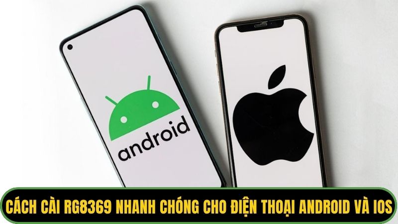 Cách cài RG8369