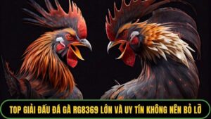 Giải Đấu Đá Gà RG8369