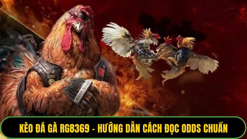 Kèo đá gà RG8369