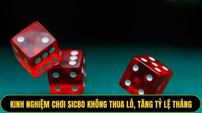 Kinh Nghiệm Chơi Sicbo