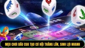 Mẹo chơi Bầu Cua